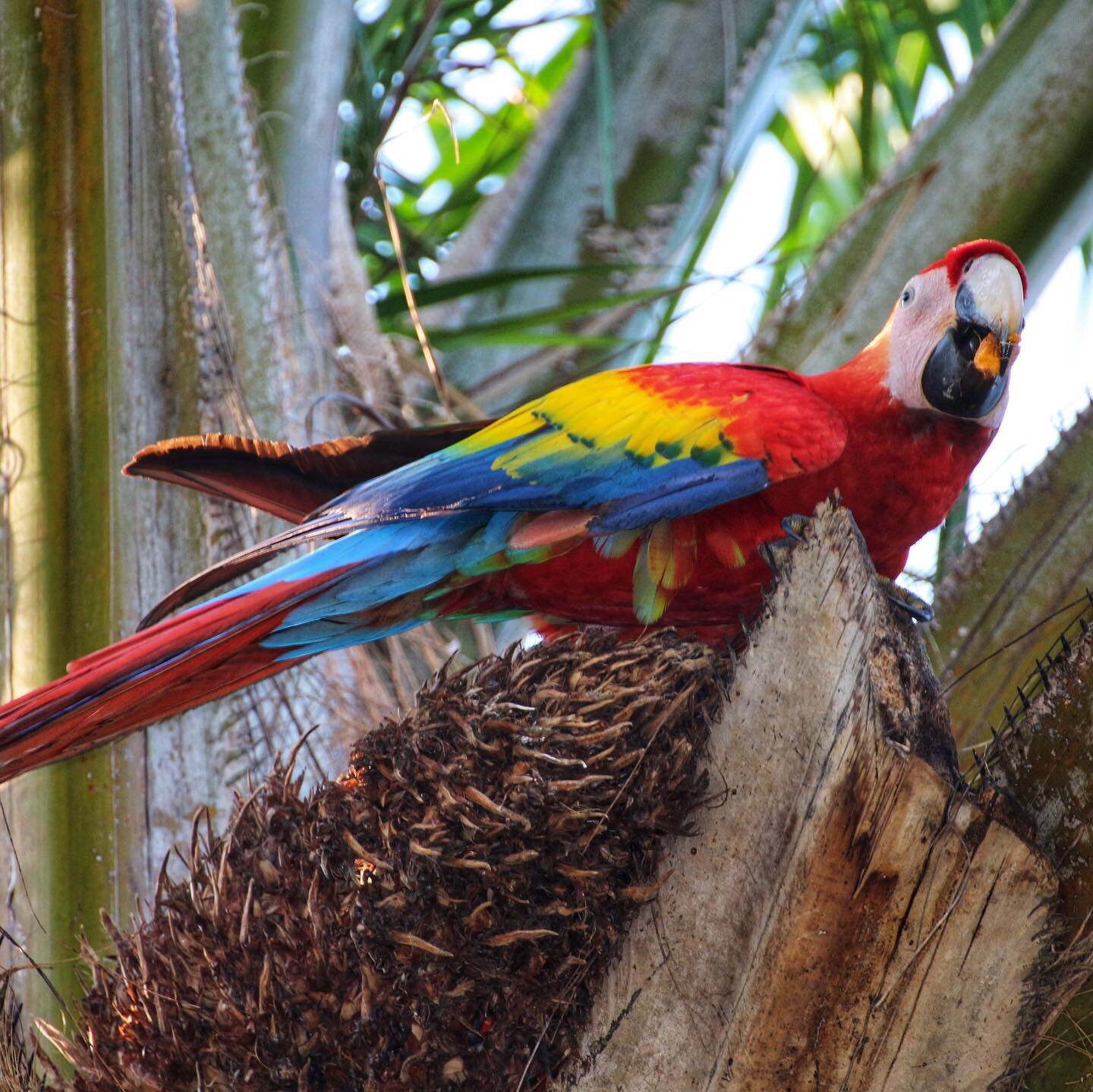 activités familiales costa rica